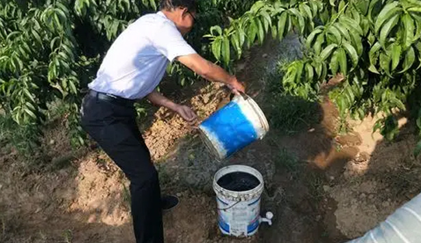 滴灌p.jpg